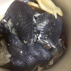 乌鸡斩件热水汆烫