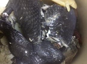 乌鸡斩件热水汆烫