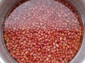 红豆洗净加水泡24个小时。
