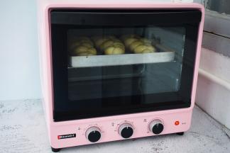 再放入预热好的海氏烤箱，上下火160度，中层烤20分钟