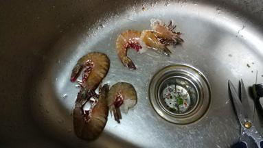 大虾去壳去线切粒