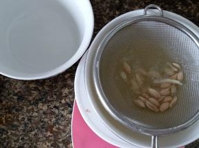柠檬汁过滤
