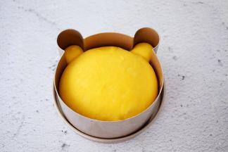 再次发酵至模具的八九分满