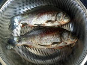 将鲫鱼清理干净