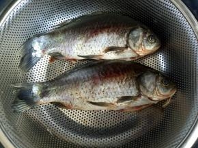 将鲫鱼清理干净