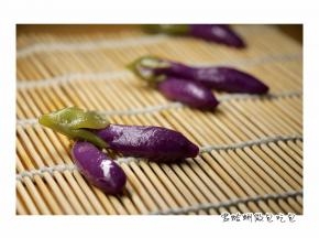 之前做的