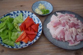 五花肉洗净切成薄片，青红椒去籽洗净切小块，葱姜蒜切末