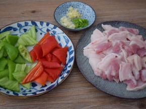 五花肉洗净切成薄片，青红椒去籽洗净切小块，葱姜蒜切末
