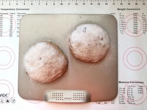 13、均匀的筛上一层薄薄的黑麦粉。