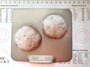 13、均匀的筛上一层薄薄的黑麦粉。