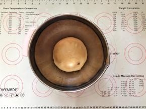 7、放入盆中盖上保鲜膜25-28度进行第一次发酵。