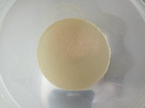 将水称量好加入酵母