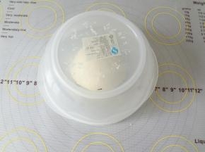 排气后盖上碗或者保鲜膜松弛20分钟