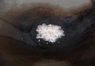 热锅倒入少许食用油，油熟放入2勺豆豉炒香。