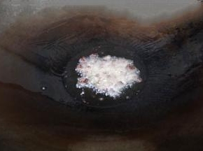 热锅倒入少许食用油，油熟放入2勺豆豉炒香。