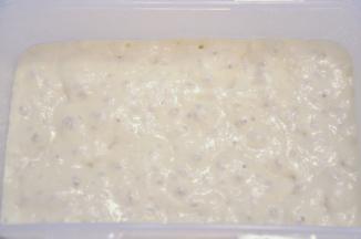 波兰酵头材料提前混合均匀，盖好冷藏约17小时。