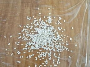 倒出适量白芝麻。