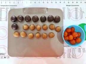 4、莲蓉月饼馅分成20个20克的，咸蛋黄提前一夜泡油后沥干油份备用。