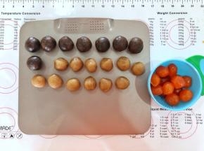 4、莲蓉月饼馅分成20个20克的，咸蛋黄提前一夜泡油后沥干油份备用。