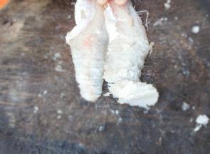 因为这种鱼有小骨头，要用刀横着剁一遍（给宝宝吃，建议用马鲛鱼或鲅鱼，肉多容易去骨头）