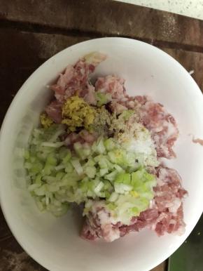 将肉末、老姜、大葱、胡椒，老抽，盐、红薯淀粉1、料酒，适量的清水，一起将肉丸搅散。