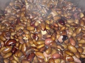 黑豆泡发后煮熟，一捏就软的状态（白芸豆需要去衣）