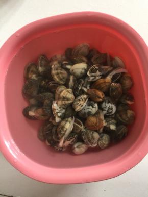 挑选活花甲放在盆里加入适量的盐浸泡半天，让花甲把肚肚里的泥沙吐干净。