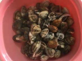 挑选活花甲放在盆里加入适量的盐浸泡半天，让花甲把肚肚里的泥沙吐干净。