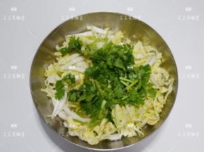 海蜇，白菜放入盆中，香菜切成小段加入
