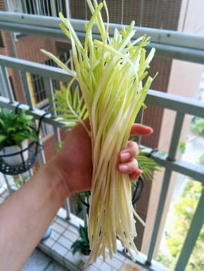 把韭黄头尾不好的去掉，洗干净，切成小段