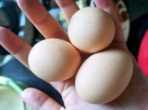 准备三个鸡蛋