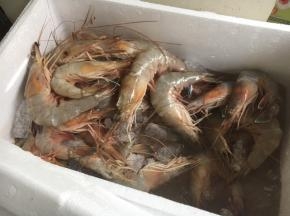 虾中含有20%的蛋白质，是蛋白质含量很高的食品之一，是鱼、蛋、奶的几倍甚至十几倍，虾和鱼肉相比，所含的人体必需氨基酸缬氨酸并不高，但却是营养均衡的蛋白质来源，另外，虾类含有甘氨酸，这种氨基酸的含量越高，虾的甜味就越高。