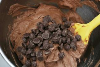 7.加入巧克力豆 稍加翻拌即可