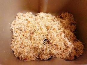 程序结束，毛绒绒的肉松就完成啦