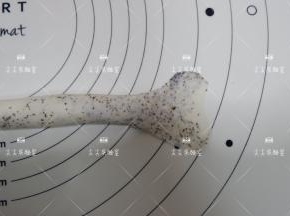 将左右任意一头擀薄，如图。