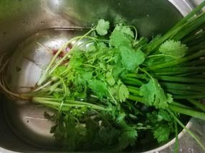 香菜、葱、姜洗干净，葱三分二切段，姜切片