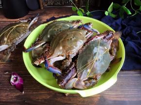 买来的螃蟹清洗干净。