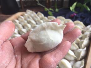 包好的饺子，薄皮大馅。