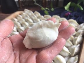 包好的饺子，薄皮大馅。