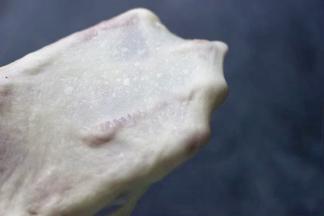 然后切一小块面团慢慢抻开，看到手套膜已经很薄，到了扩展阶段，面团已经揉到位了。