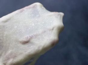 然后切一小块面团慢慢抻开，看到手套膜已经很薄，到了扩展阶段，面团已经揉到位了。