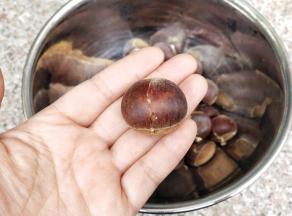 用剪刀在鼓起的位置上剪开一个口