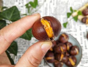 再把烤盘放回烤箱继续烤五分钟，这一道香甜软糯的糖烤栗子就好啦，您学会了吗？