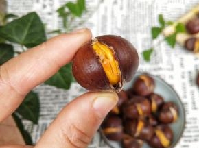 再把烤盘放回烤箱继续烤五分钟，这一道香甜软糯的糖烤栗子就好啦，您学会了吗？