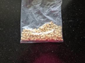 3、花生米放凉后搓掉外皮放入保鲜袋中。