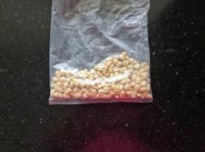 3、花生米放凉后搓掉外皮放入保鲜袋中。