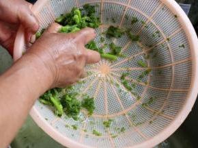 最后再尽量挤掉多余的水分；