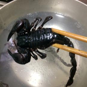 蝎子放入沸水中汆烫一下，捞起备用