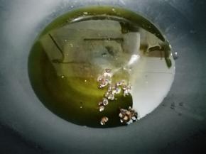 锅里加入适量的油烧到七成热时，把花椒放入锅中煸香