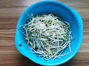 豆芽摘洗干净